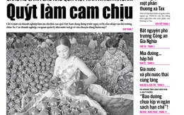 Tuổi Trẻ 8-10: Quýt làm cam chịu