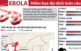 ​Thế giới đang bị Ebola qua mặt
