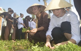 Sinh viên Na Uy đến Việt Nam thử tài làm nông