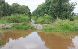 ​Khẩn trương đắp đập giữ nước cho rừng tràm U Minh Hạ