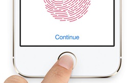 Tòa Mỹ không bảo vệ bảo mật Touch ID của Apple