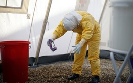Bệnh nhân Ebola ở Sierra Leone tăng 9 lần trong 2 tháng