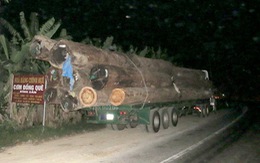 Bắt đoàn xe gỗ chở quá tải gấp 4 lần cho phép