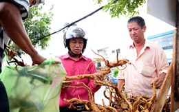 ​Thận trọng với điều trị “ngoài luồng”