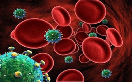 ​HIV biến chủng sang dạng “bớt dữ dội”