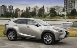 Crossover hạng sang Lexus NX: Hợp nhãn số đông