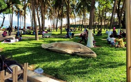 ​Nghe nhạc tại công viên bờ biển Nha Trang