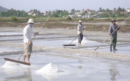 ​Nâng tỷ trọng sản xuất muối qua chế biến