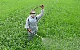​Bệnh “nghề nghiệp” của nông dân