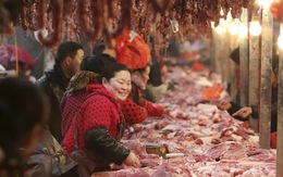 ​Gần 50% nhà máy thực phẩm Trung Quốc không đạt chuẩn