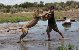 Xúc động tình bạn giữa người và "nàng" sư tử