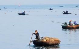 ​Tàu du lịch biển khó cập cảng vì lưới bắt tôm hùm