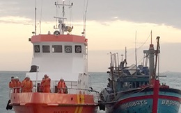 Cứu nạn 8 thuyền viên tàu cá Bình Định