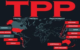 Đàm phán TPP, Việt Nam đảm bảo xuất khẩu nhiều nhóm hàng