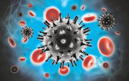 ​Công bố nghiên cứu về chủng virus HIV mới