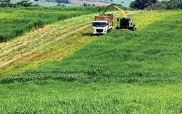 ​FDI Nhật Bản hướng vào nông nghiệp