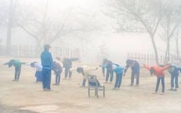 Thể dục trong sương