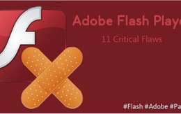 Adobe vá 11 lỗ hổng nghiêm trọng trong Flash Player