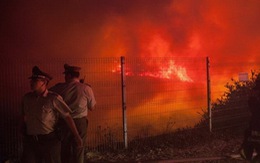 Cháy rừng dữ dội, hàng ngàn người Chile sơ tán khẩn cấp