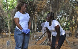 ​Sắp tuyên bố hết dịch, Liberia lại có 1 người nhiễm Ebola