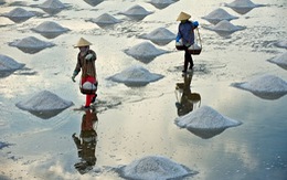 ​Sản xuất muối công nghiệp tăng mạnh