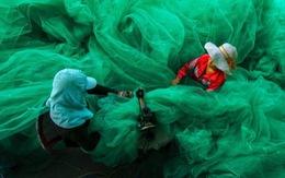 “May lưới đánh cá” đoạt giải nhất thi ảnh Smithsonian 2014