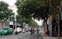 Sài Gòn cuối tuần dịu mát giữa mùa hè