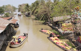 Giá lúa giảm do ghe mắc cạn