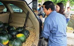 Bán dưa hấu giúp nông dân Quảng Nam