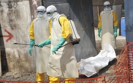 ​WB viện trợ thêm 650 triệu USD cho các nước "ổ dịch" Ebola