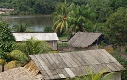 ​Brazil tăng cường bảo vệ đất cho cộng đồng người thổ dân