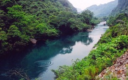 ​Phong Nha – Kẻ Bàng thu nhỏ trong “vườn thực vật”