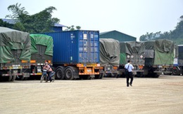 ​Hàng nghìn tấn gạo chờ... hư mốc