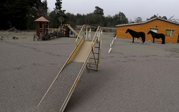 Trường học sập, máy bay hủy chuyến vì tro núi lửa Chile
