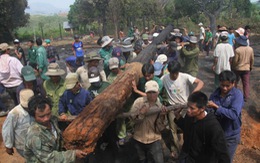 ​Gia Lai: Lửa thiêu rụi nhiều nhà ở làng Bana trăm tuổi