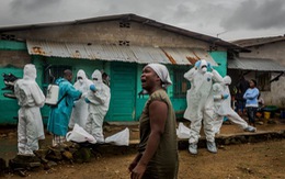 ​WHO xác nhận Liberia đã sạch bóng Ebola