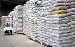 ​Xuất cấp hơn 1.560 tấn gạo cứu đói cho tỉnh Nghệ An