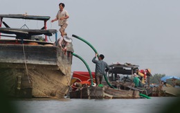 Khai thác cát lậu làm "biến mất" 42ha đất ven sông Đồng Nai