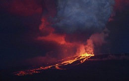Núi lửa ở Galapagos phun, loài cự đà hồng bị ​đe dọa