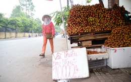 Saigon Co.op hỗ trợ tiêu thụ 800 tấn trái vải tươi