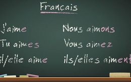 TP.HCM tuyển sinh lớp 1 chương trình song ngữ tiếng Pháp