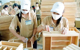 Sản phẩm gỗ của Việt Nam lại bị kiện