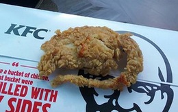 KFC ở Mỹ bị tố chiên chuột nguyên con bán cho khách
