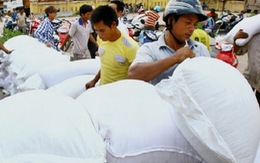 ​Hỗ trợ Đắk Lắk gần 500 tấn gạo