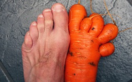 Hết hồn với củ cải người,  táo cú, cà rốt bàn chân
