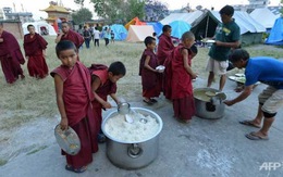 Gạo và đậu cứu trợ Nepal "không thích hợp cho người"