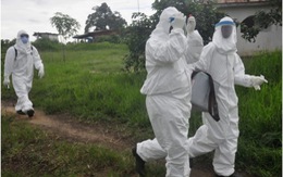 Ebola trở lại Liberia: thêm 2 ca nhiễm mới