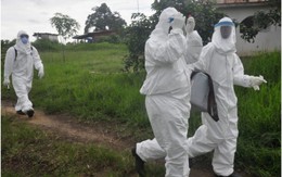 Ebola trở lại Liberia: thêm 2 ca nhiễm mới