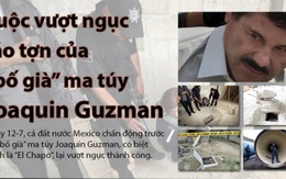 Infographic: Trùm ma túy Joaquin Guzman và vụ vượt ngục táo tợn