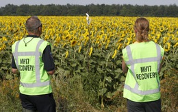 ​Hà Lan cáo buộc ly khai Ukraine bắn máy bay MH17